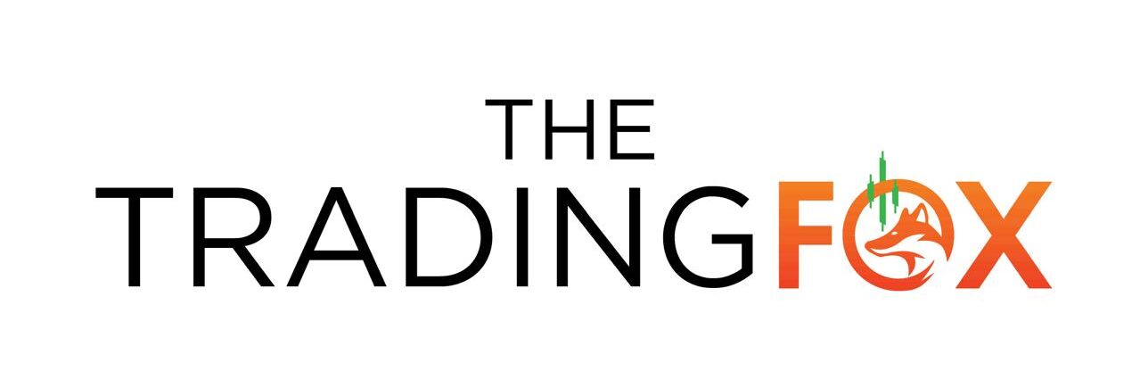 cropped-WhatsApp-Image-2024-08-14-at-1.26.46-PM